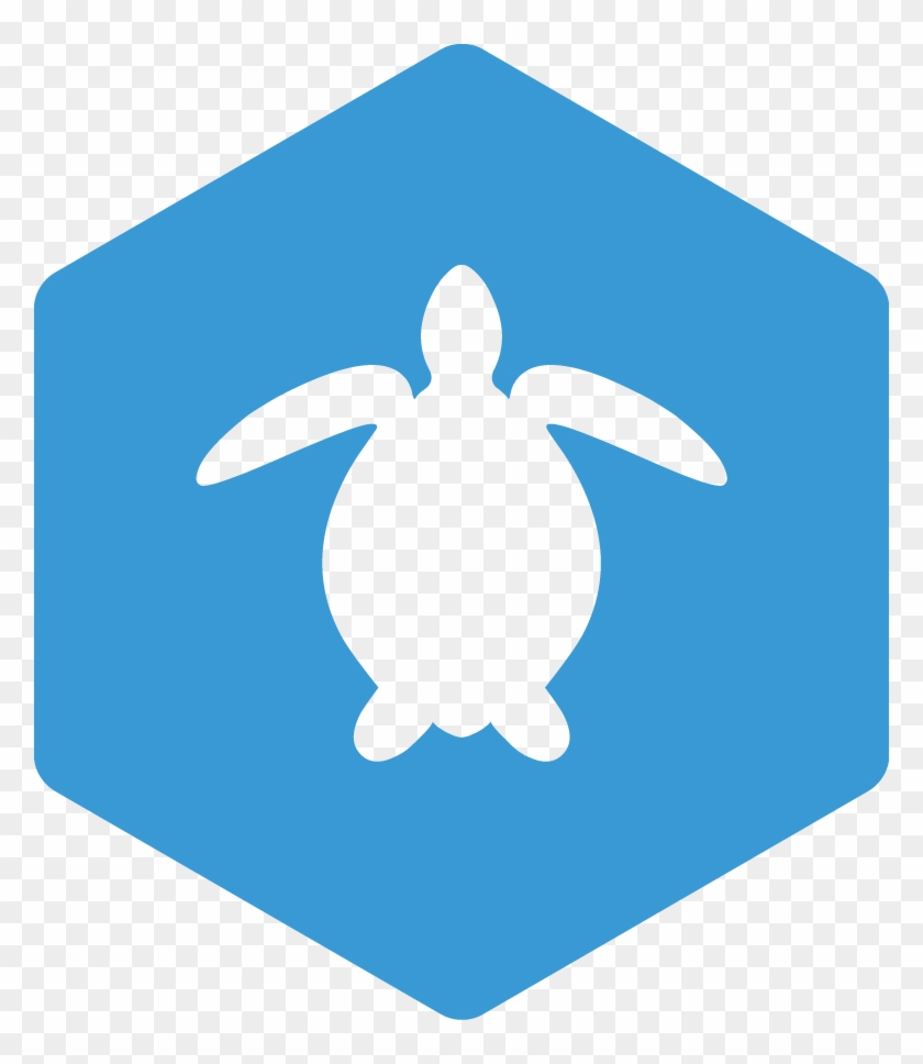 Sea Turtle Ecology And Head-starting Certification - Blue Next Icon Png Clipart #266638