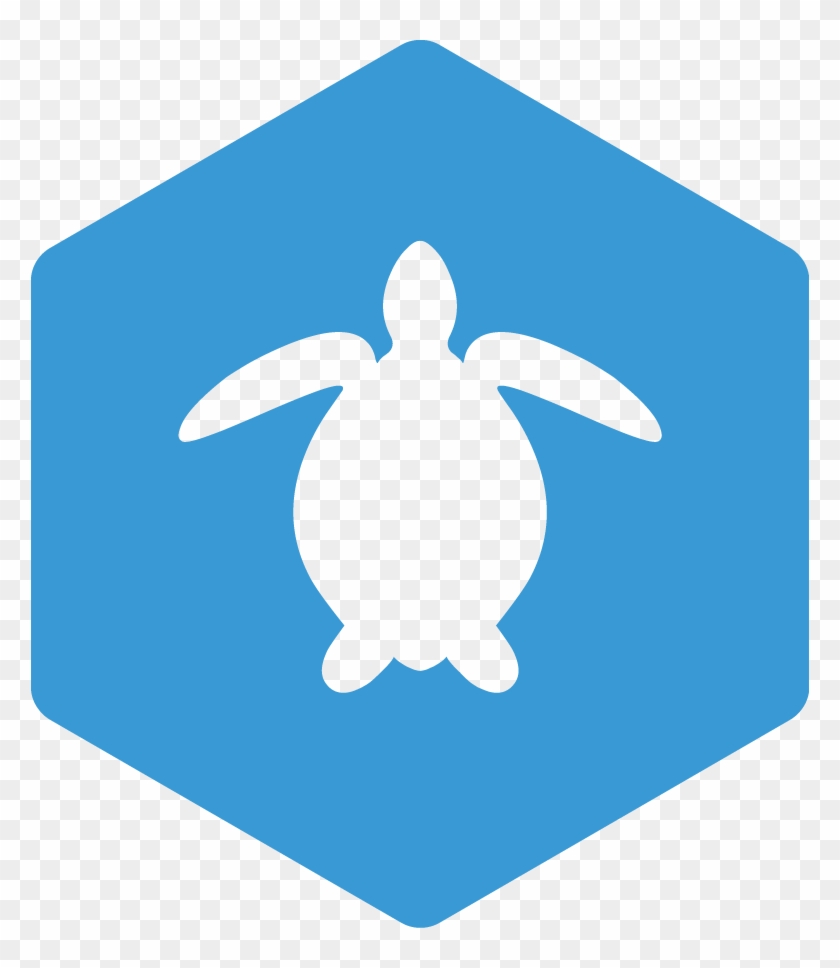 Sea Turtle Ecology And Head-starting Certification - Blue Next Icon Png Clipart
