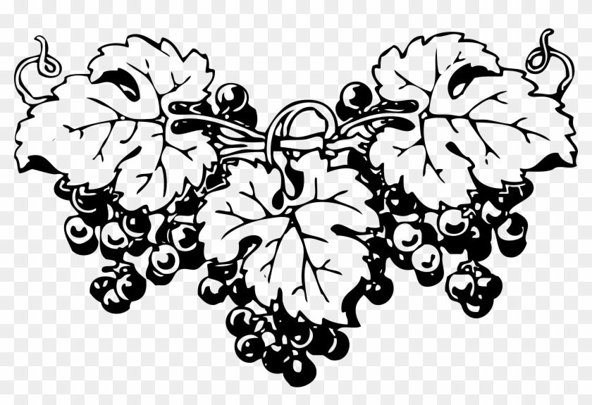 Grapes Png Black And White Clipart