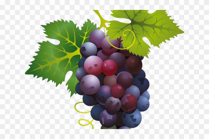 Grape Png Transparent Images - Red Grapes Clip Art #266847