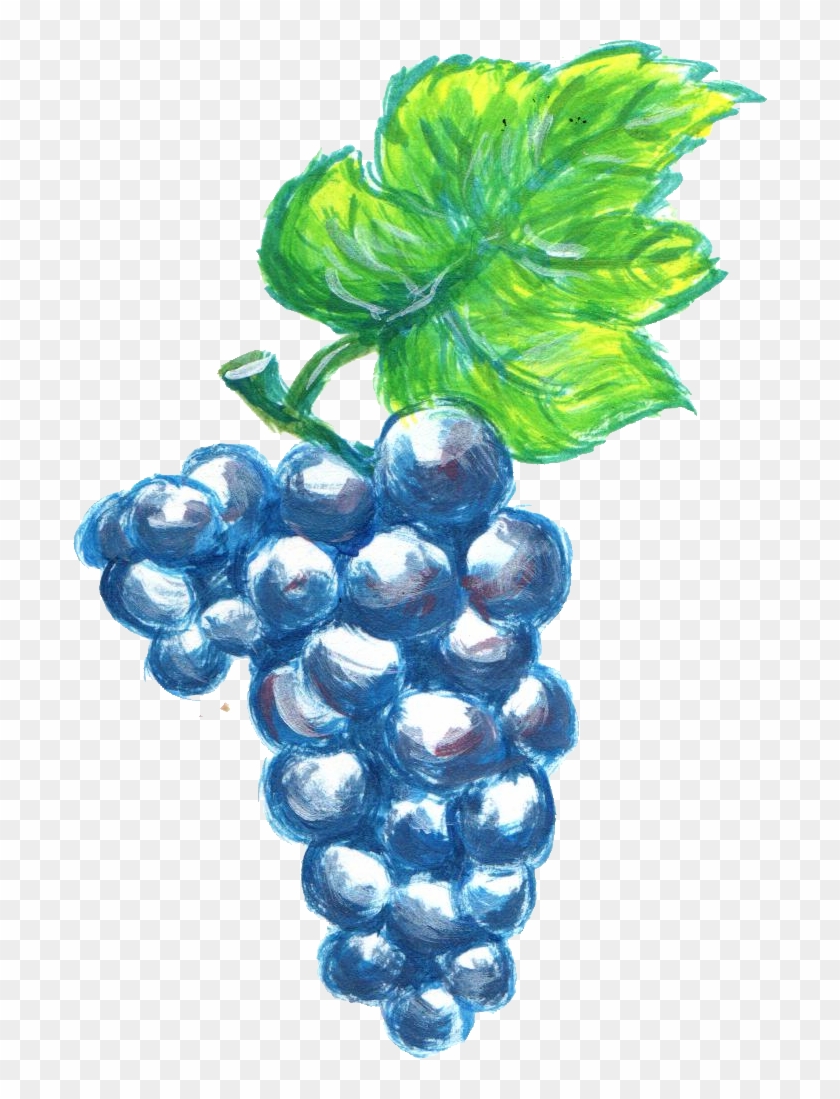 Free Download - Seedless Fruit Clipart #266891