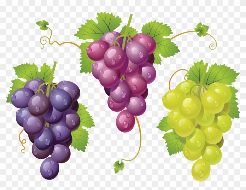 Download Grapes Clipart Png Photo - Виноград Клипарт Пнг Transparent Png #266946