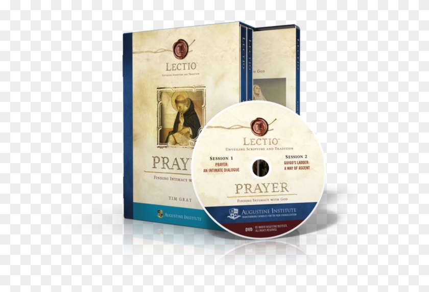 Lectio - Prayer - Dvd Set - African Grey Clipart