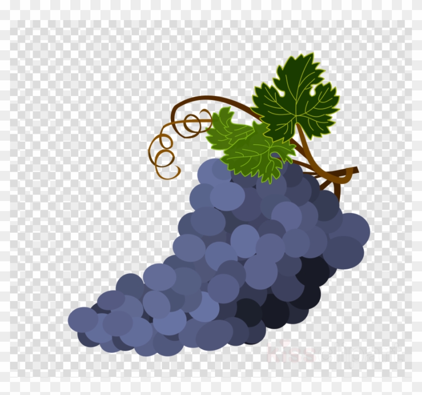 Download Bowl Of Grapes Transparent Background Clipart - Record Icon Transparent Background - Png Download