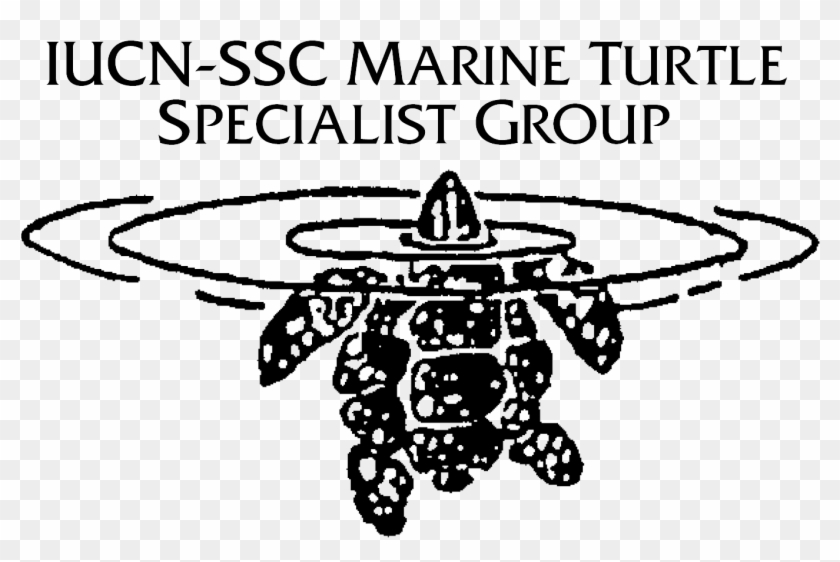 Oceanic Society Co Manages The Iucn Ssc Marine Turtle - Illustration Clipart #267224