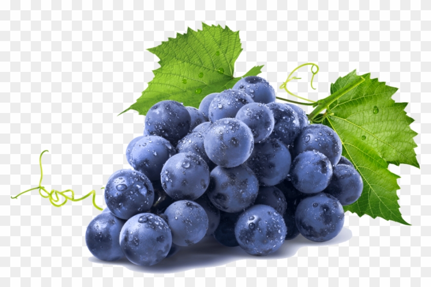 Of The Most Cultivated Fruit In The World - Grapes On White Background Clipart #267469