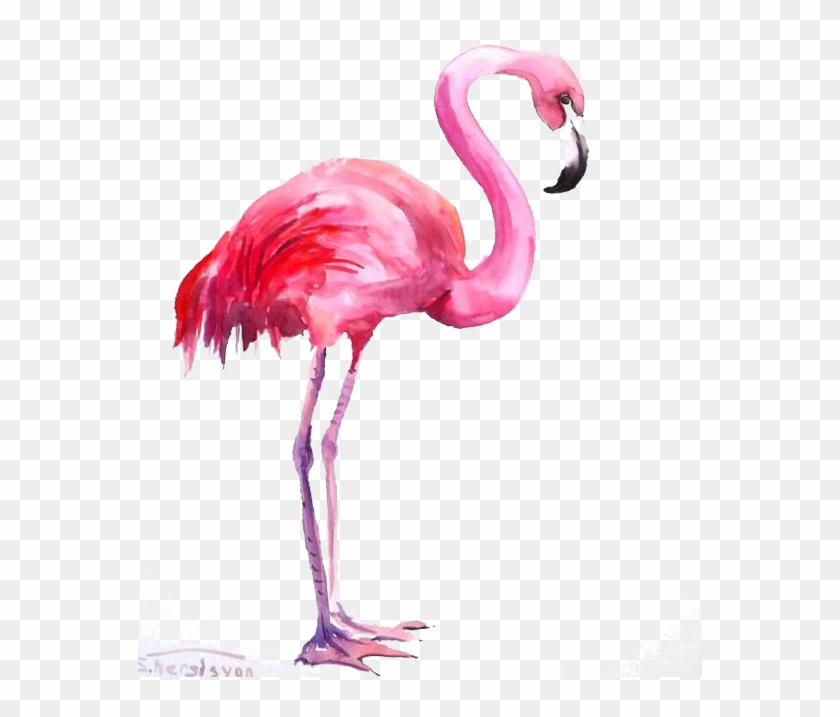 Flamingo Watercolor Painting - Water Color Flamingo Png Clipart #267698
