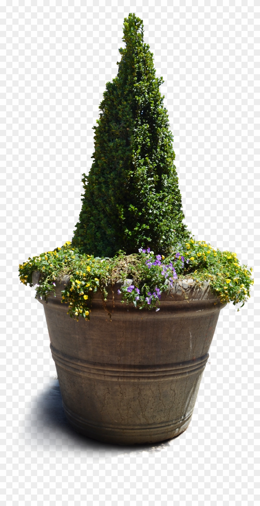 Flowers N Pine In Vase Png Photo Png Images - Flowerpot Clipart