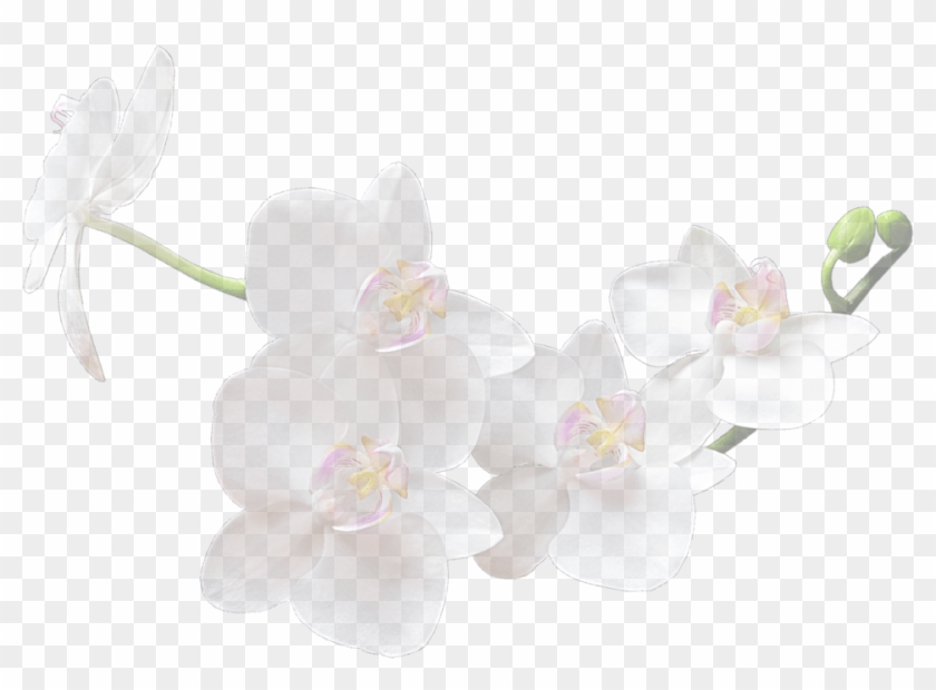 Bg-spa - Love You Forever Clipart #2600050