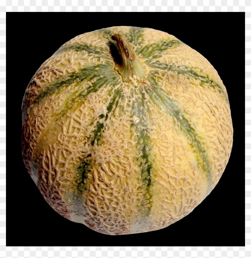 Portable Network Graphics Clipart #2600511