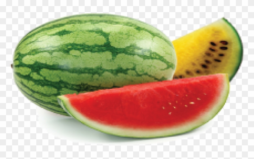 Watermelon Clipart
