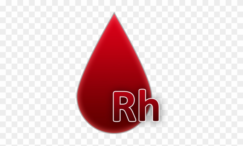 Blood Group,blood,a Drop Of Blood,blood Donation,rh,rh - Blood Group Png Clipart #2603983