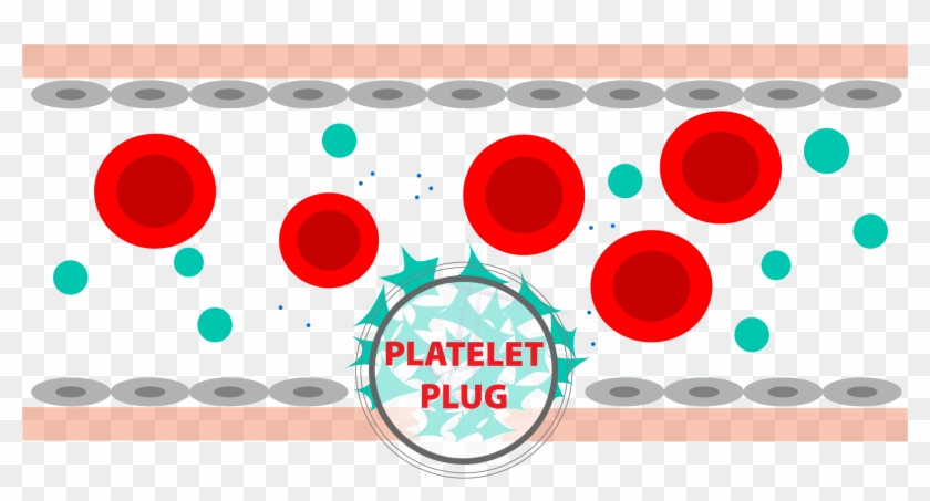 Therapeutic Focus - Circle Clipart #2604129