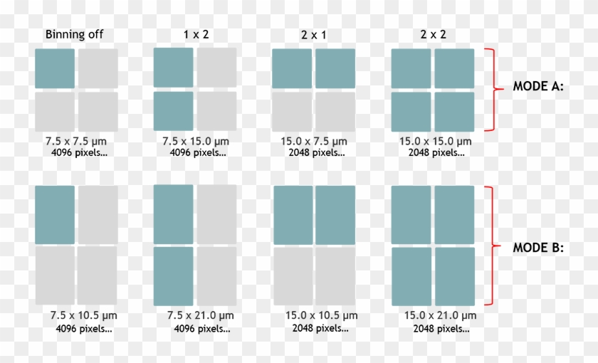 Diagram Clipart #2604682