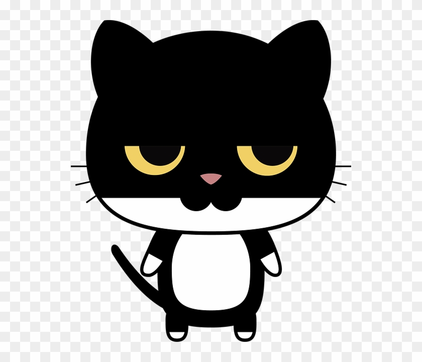 Cat, Tarepanda, Panda - Panda Cat Png Clipart