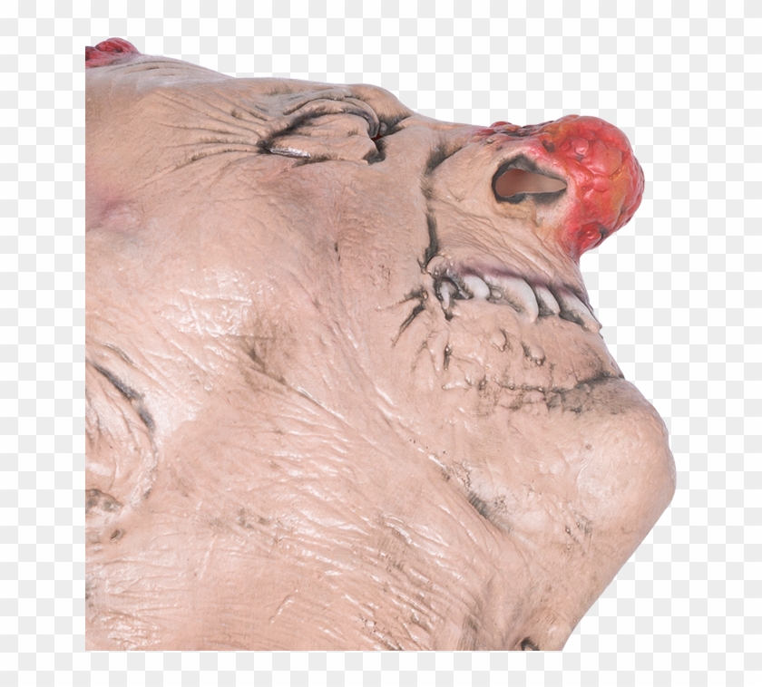 Latex Red Clown Nose, Latex Red Clown Nose Suppliers - Hippopotamus Clipart #2605375