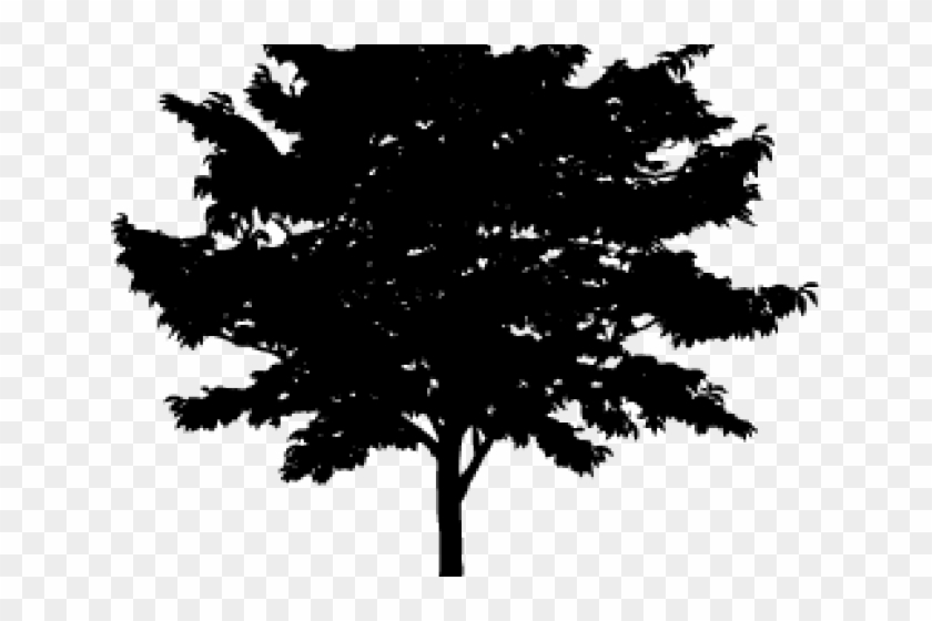 Fundamentals Of Corporate Finance 6th Edition Mcgraw Clipart