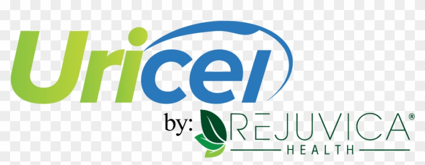 Graphic Design Clipart