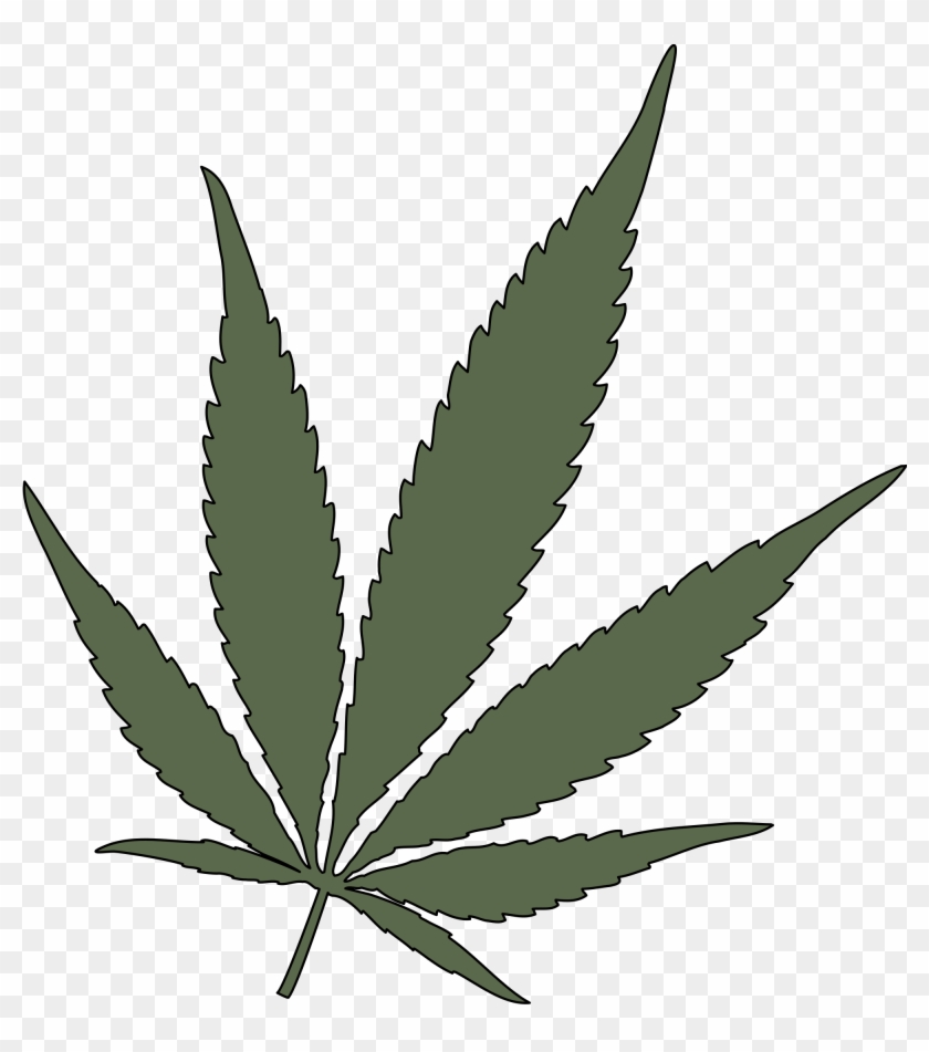 Feuille De Cannabis Png - Transparent Marijuana Leaf Vector Clipart #2606806