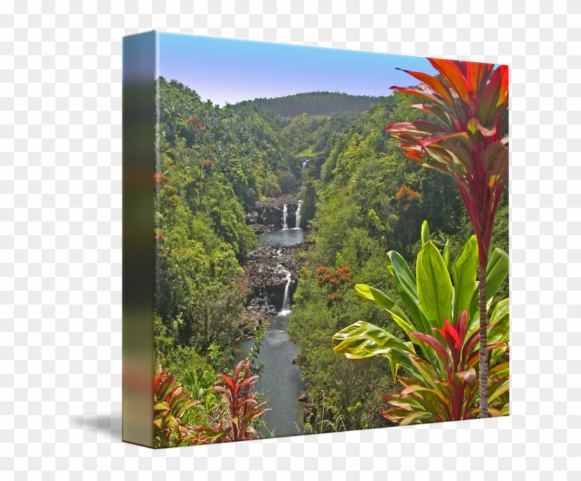 Waterfall Hilo Hawaii By Steven Schiller - Botanical Garden Clipart
