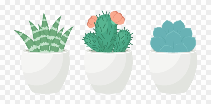 Cactus Vector Succulent - Succulent Plant Clipart