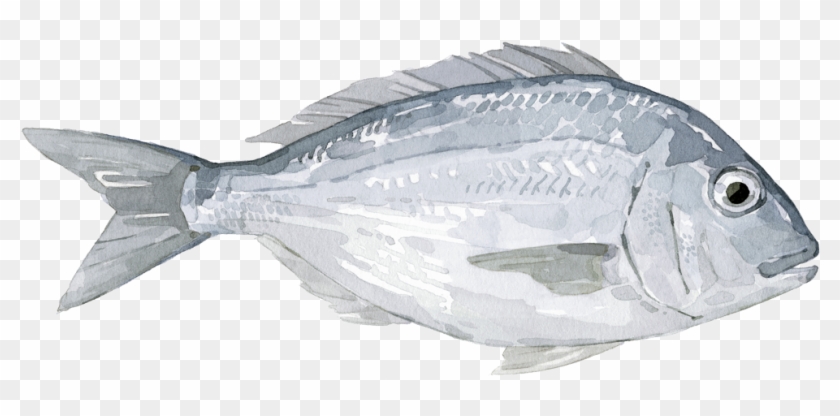 Bass , Png Download - Bass Clipart