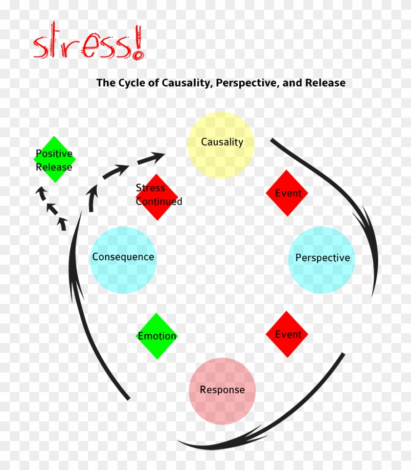 Anxiety Clipart Stress - Stress Response Cycle - Png Download