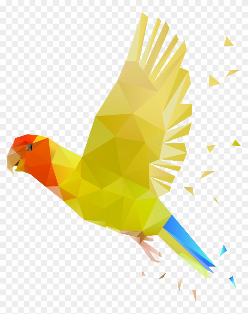 Vector Parrot Polygonal - 鸚鵡 Ai Clipart