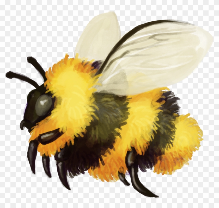 A Quick Fuzzy Bumblebee Friend - Bumblebee Clipart