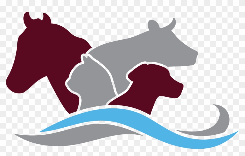 Round Optometry Logo - Illustration Clipart