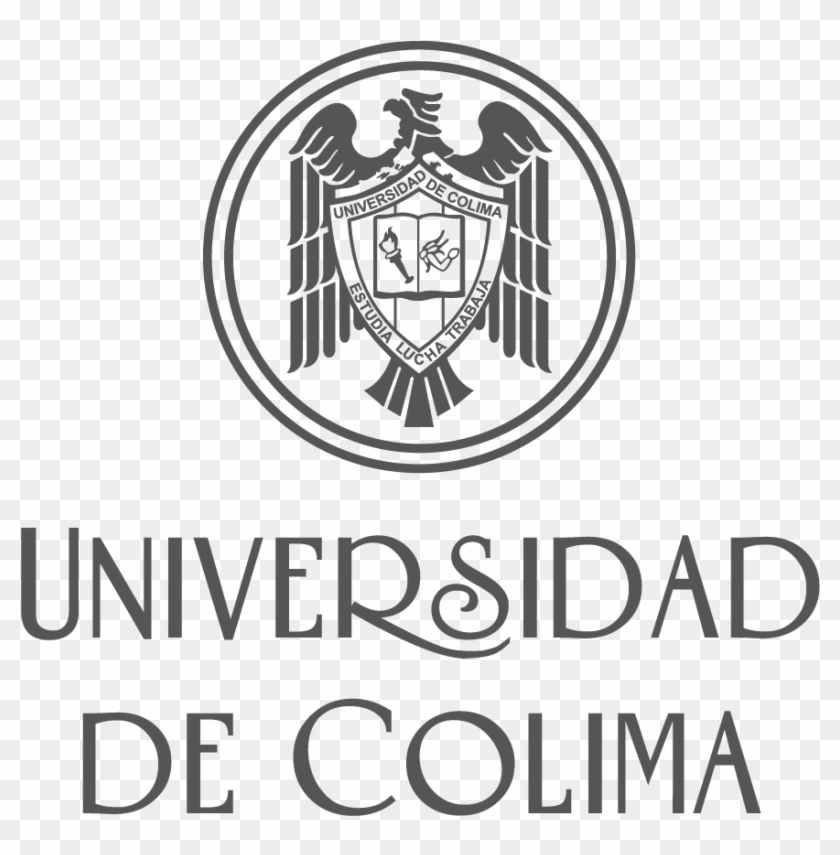 Negro 80 %, Descargar Clipart