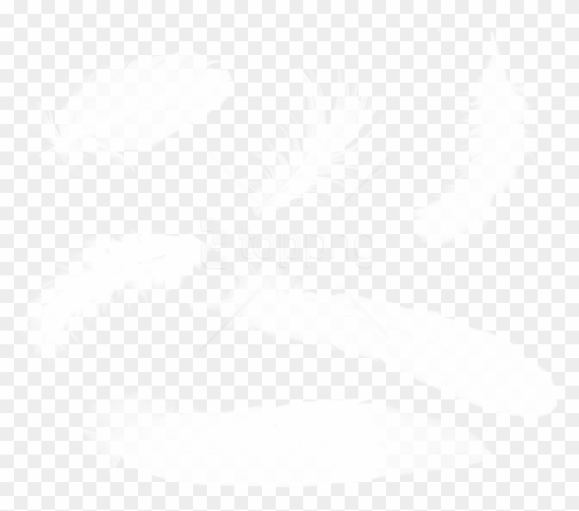 Free Png Download Feather Png Images Background Png - Перья Пнг Clipart