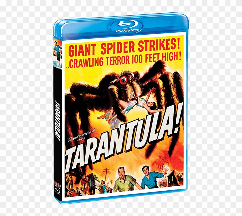 As Far As 1950s Sci Fi B Movies Go, Director Jack Arnold's - Movie Clipart #2611930