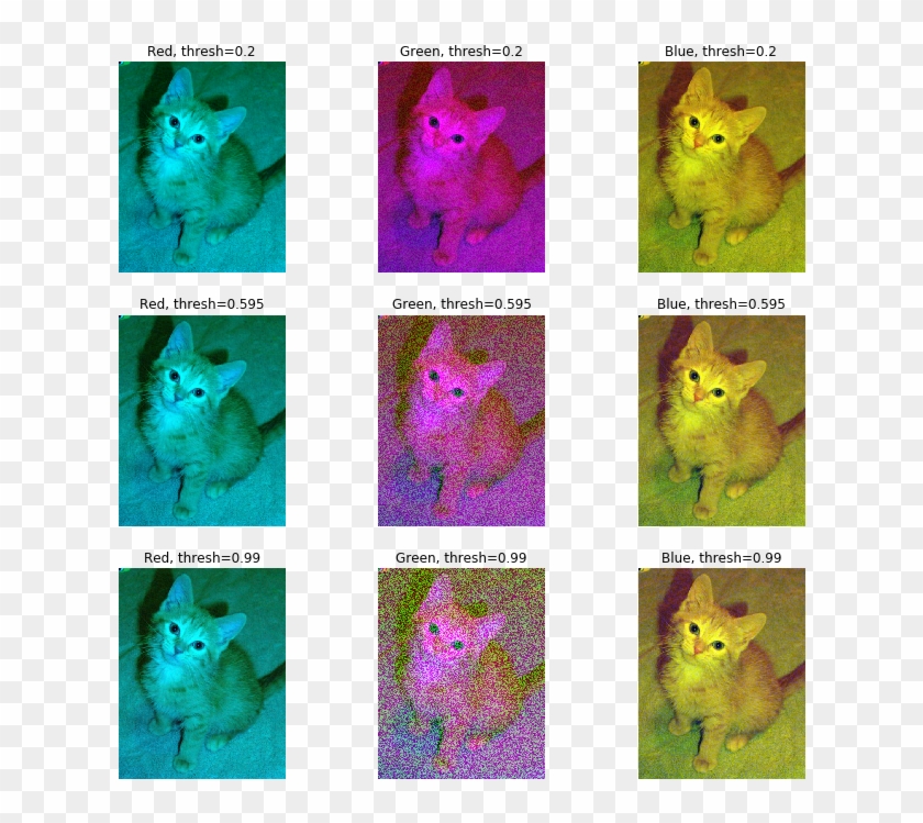 Which Channel To Randomize - Marine Biology Clipart