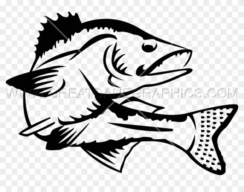 Png Royalty Free Download Walleye Clipartmansioncom - Walleye Images Black And White Transparent Png
