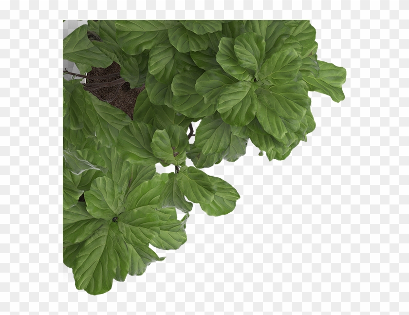 Img Temp 1920x1080 Img14 Jpg Clipart