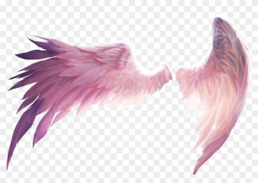 #wings #freedom #angel #fall #wing #demon #fly #birds Clipart #2613597