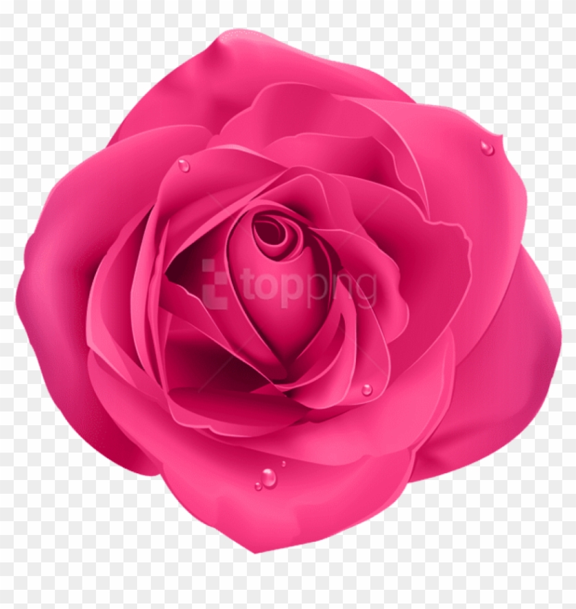Free Png Rose Pink Png Images Transparent - Rose Transparent Background Blue Clipart #2615760