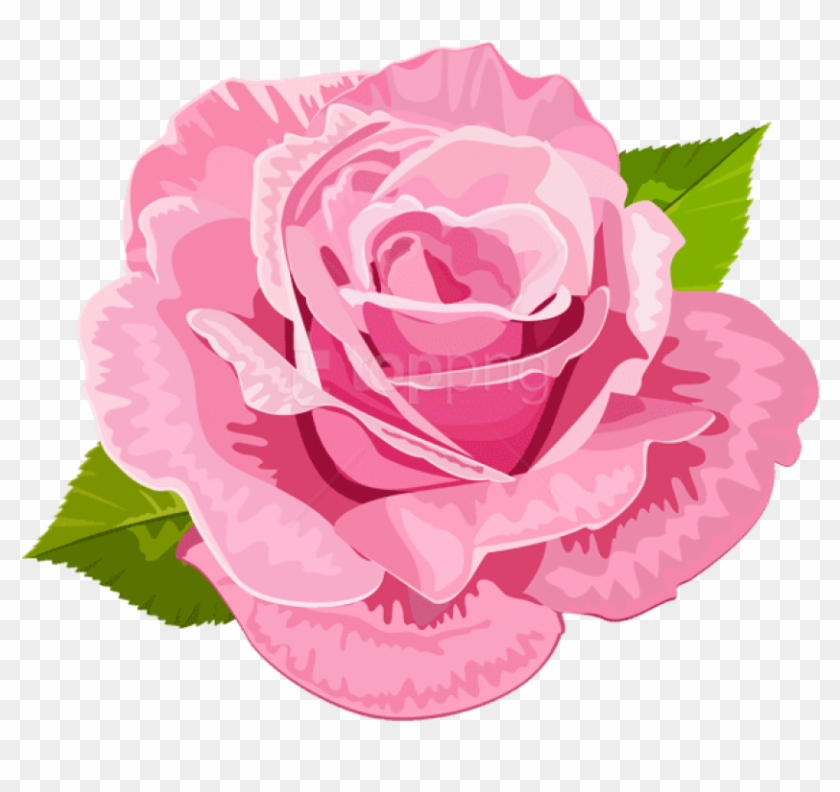Free Png Download Rose Pink Deco Png Images Background - Hybrid Tea Rose Clipart #2615981