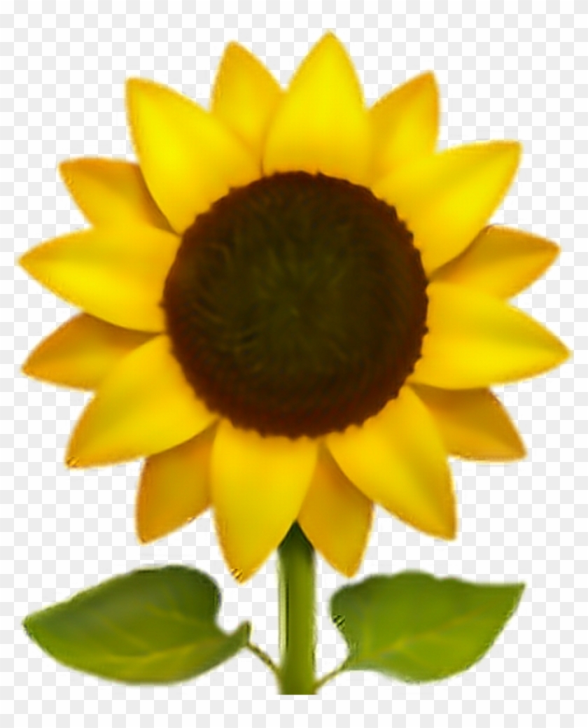 #emoji #flor #flower #png #pngs #pngtumblr - Iphone Sunflower Emoji Clipart