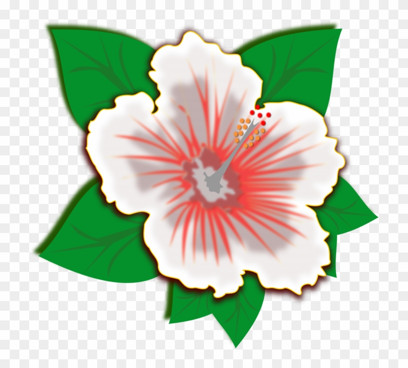 Rosemallows Drawing Download Flower Free Commercial - Public Domain Flower Png Clipart