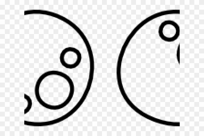 Circle Clipart #2616891