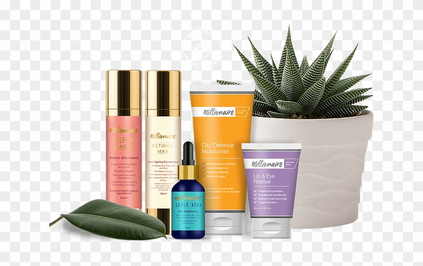 Master Website Header 2 Compressor - Cosmetics Clipart