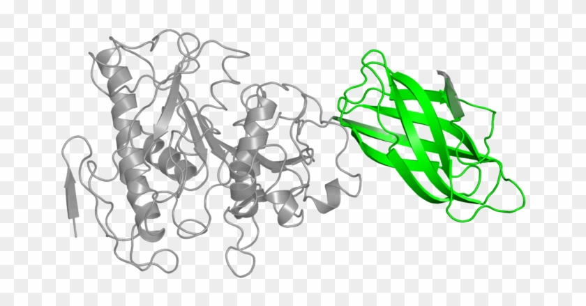 800 X 800 1 0 - Cartoon Clipart