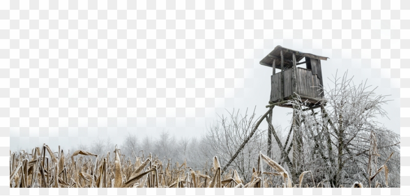 Wyvern Creations Clipart #2619070