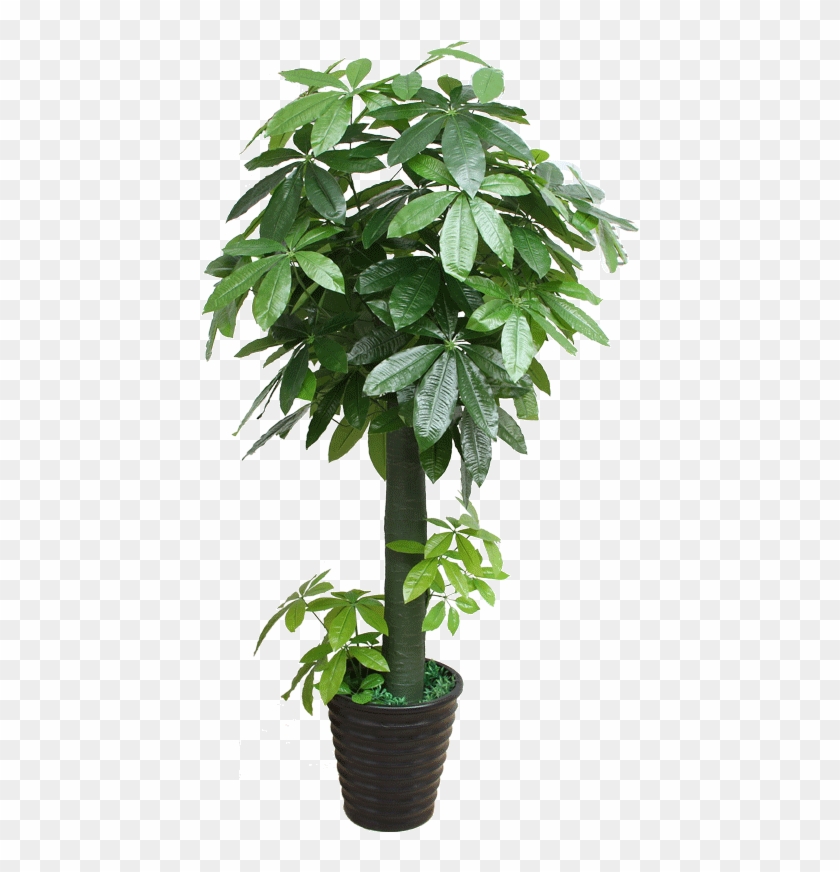 Lightbox Moreview - Bambou En Pot Vert Clipart #2619494