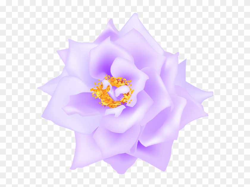 Rose Clipart #2621270