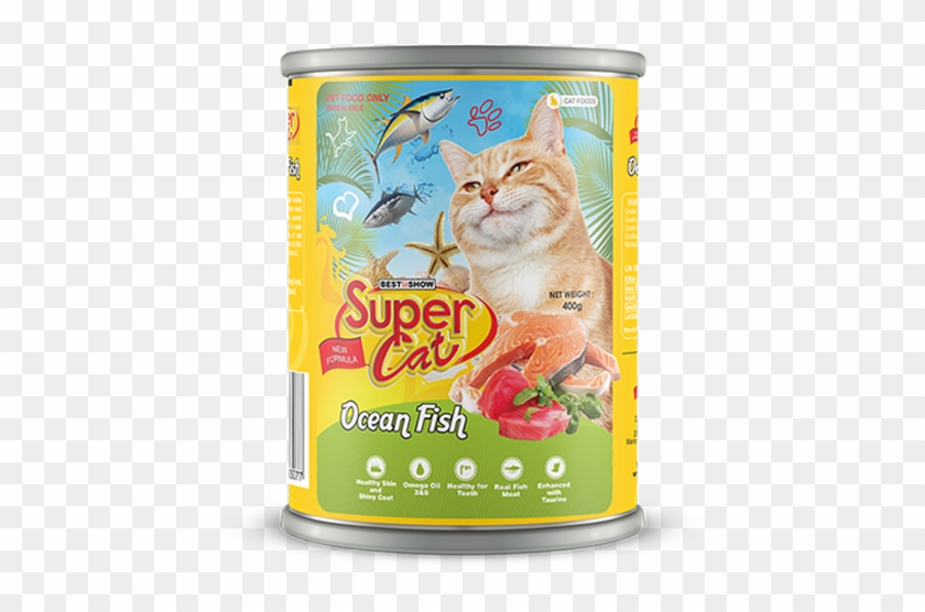 Click To Enlarge - Kitten Clipart #2621362