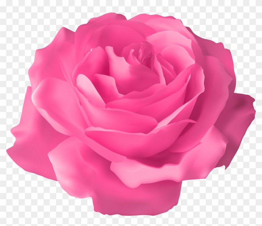 Purple Roses Png Clipart #2621775