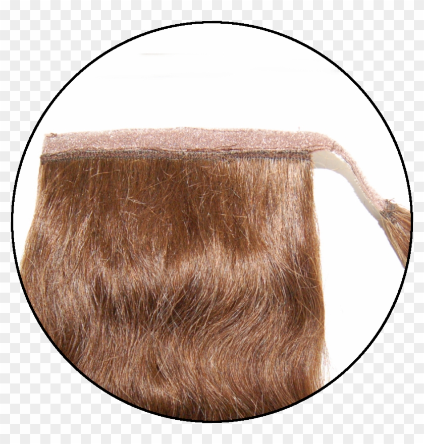 O'ra Color Chart - Lace Wig Clipart #2622009